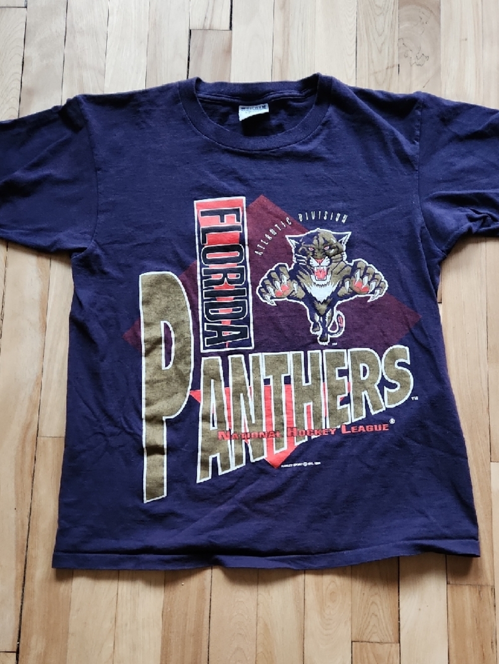Gildan Navy Florida Panthers Graphic Tee with Gold Accents - Picture 2 of 13